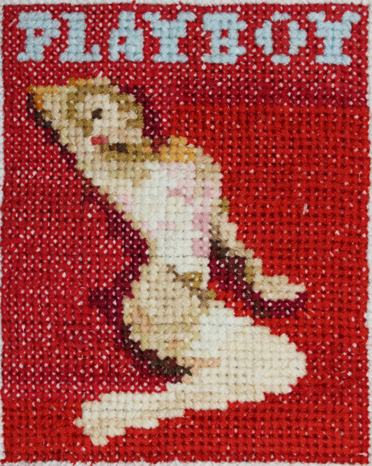 February 1991 - Pamela Anderson - Playboy Magazine - A5 Print Cross Stitch Embroidery