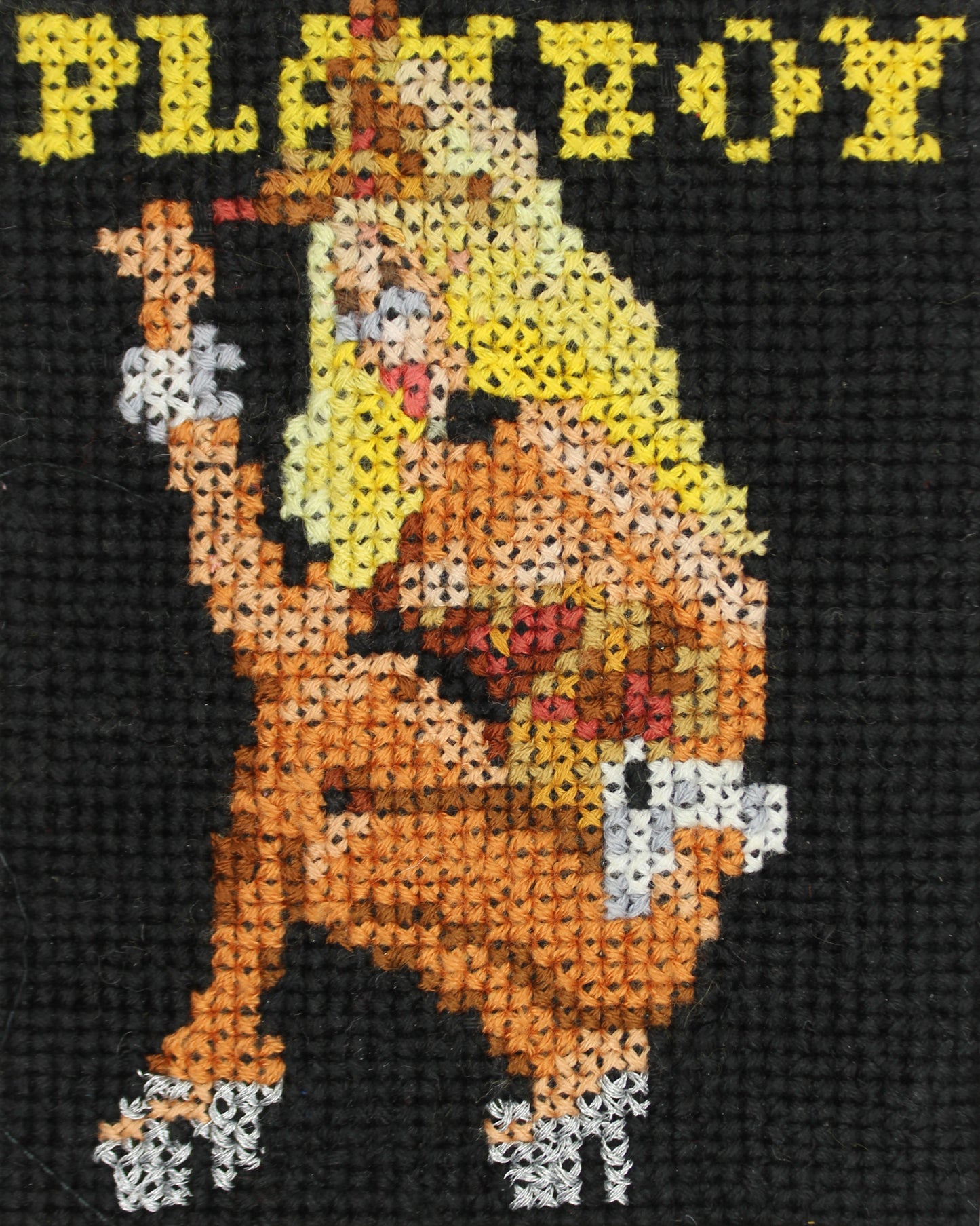 January 2005 - Jenny McCarthy, Playboy Magazine - A5 Print Cross Stitch Embroidery