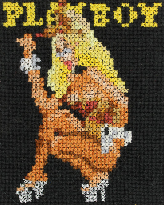 January 2005 - Jenny McCarthy, Playboy Magazine - A5 Print Cross Stitch Embroidery