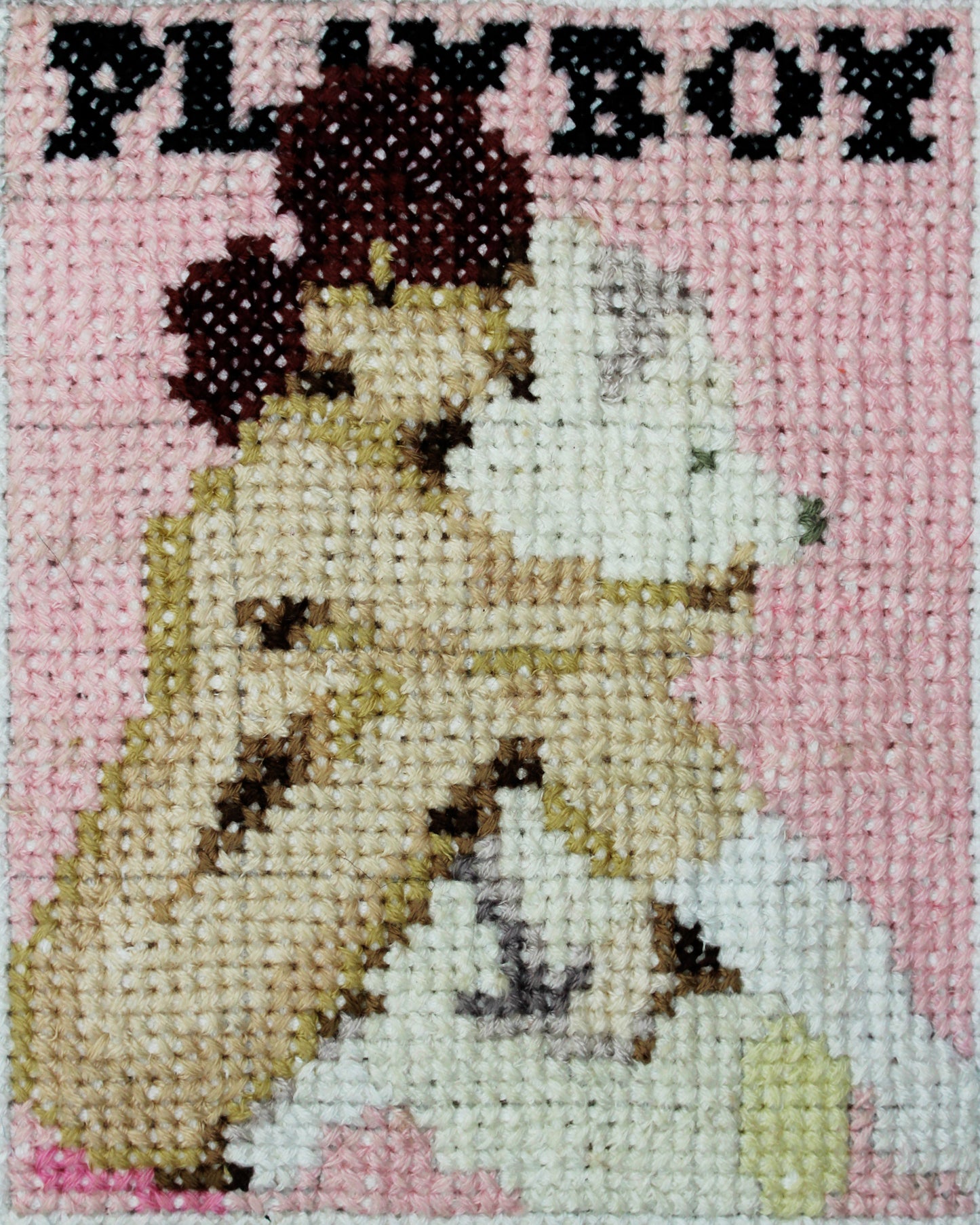 October 2008 - Lily Cole - French Playboy Magazine - A5 Print Cross Stitch Embroidery