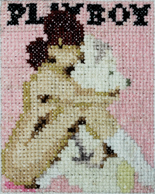 October 2008 - Lily Cole - French Playboy Magazine - A5 Print Cross Stitch Embroidery